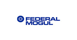 FEDERAL MOGUL